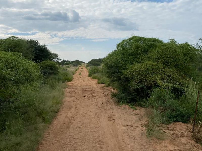 A view of a dirt access road winding through the natural landscape of the farm property.