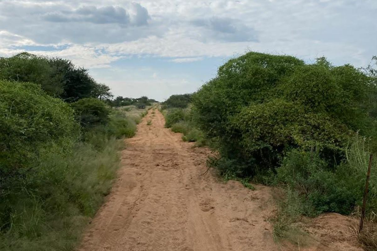 A view of a dirt access road winding through the natural landscape of the farm property.