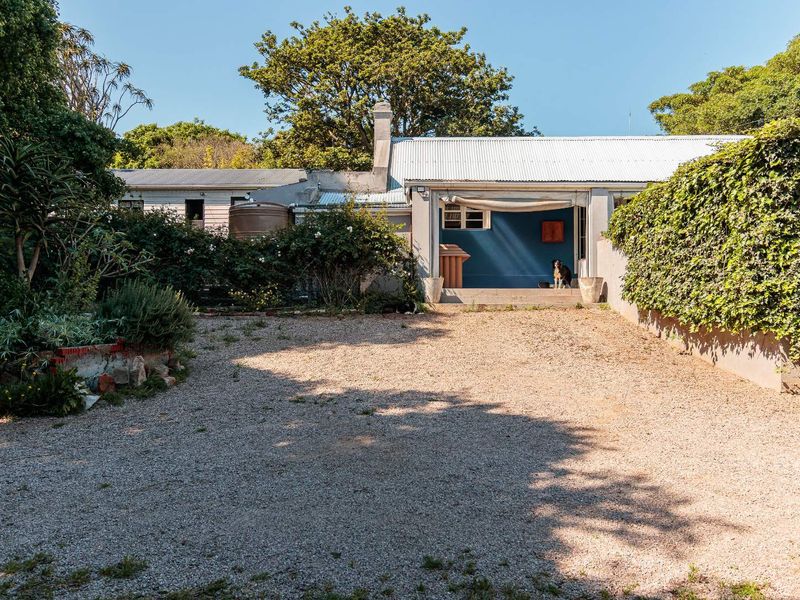 Rear view of the property featuring a gravel courtyard, corrugated metal roof, and established garden surroundings.