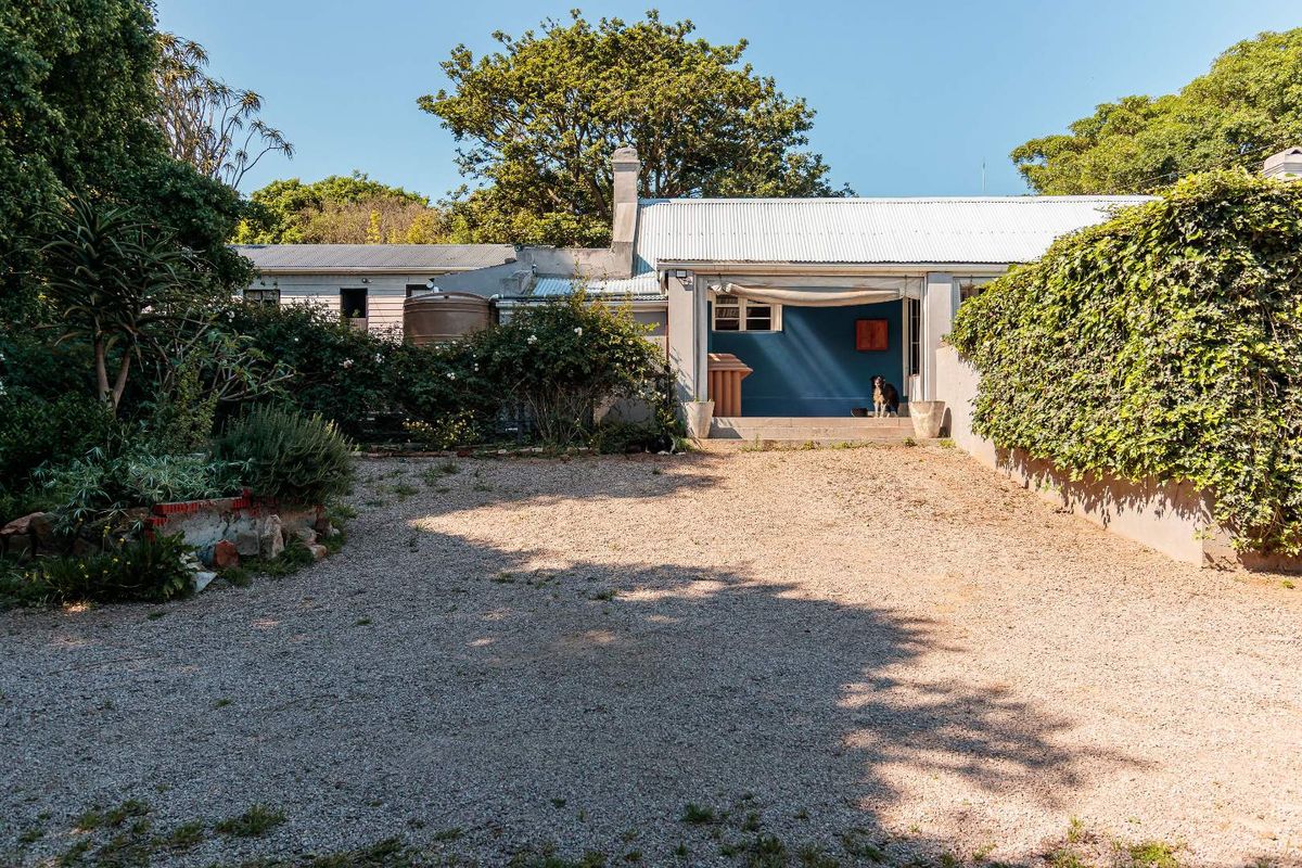 Rear view of the property featuring a gravel courtyard, corrugated metal roof, and established garden surroundings.