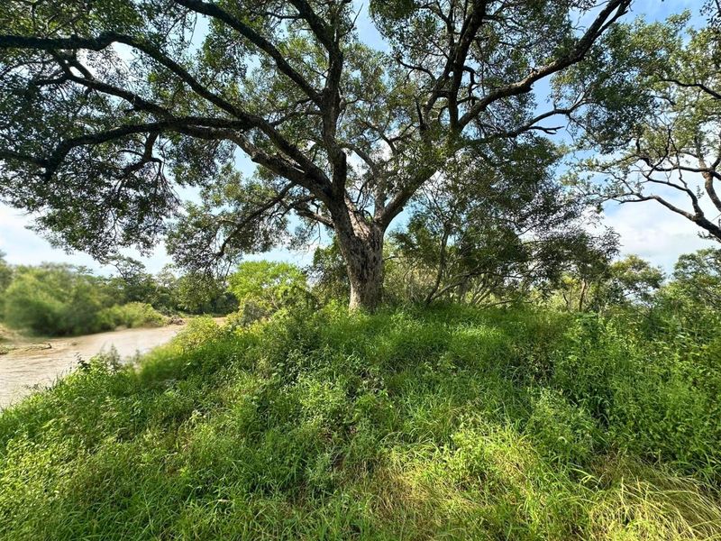 12,000 m2 Riverfront Stand in Moditlo Wildlife Estate - Photo 2