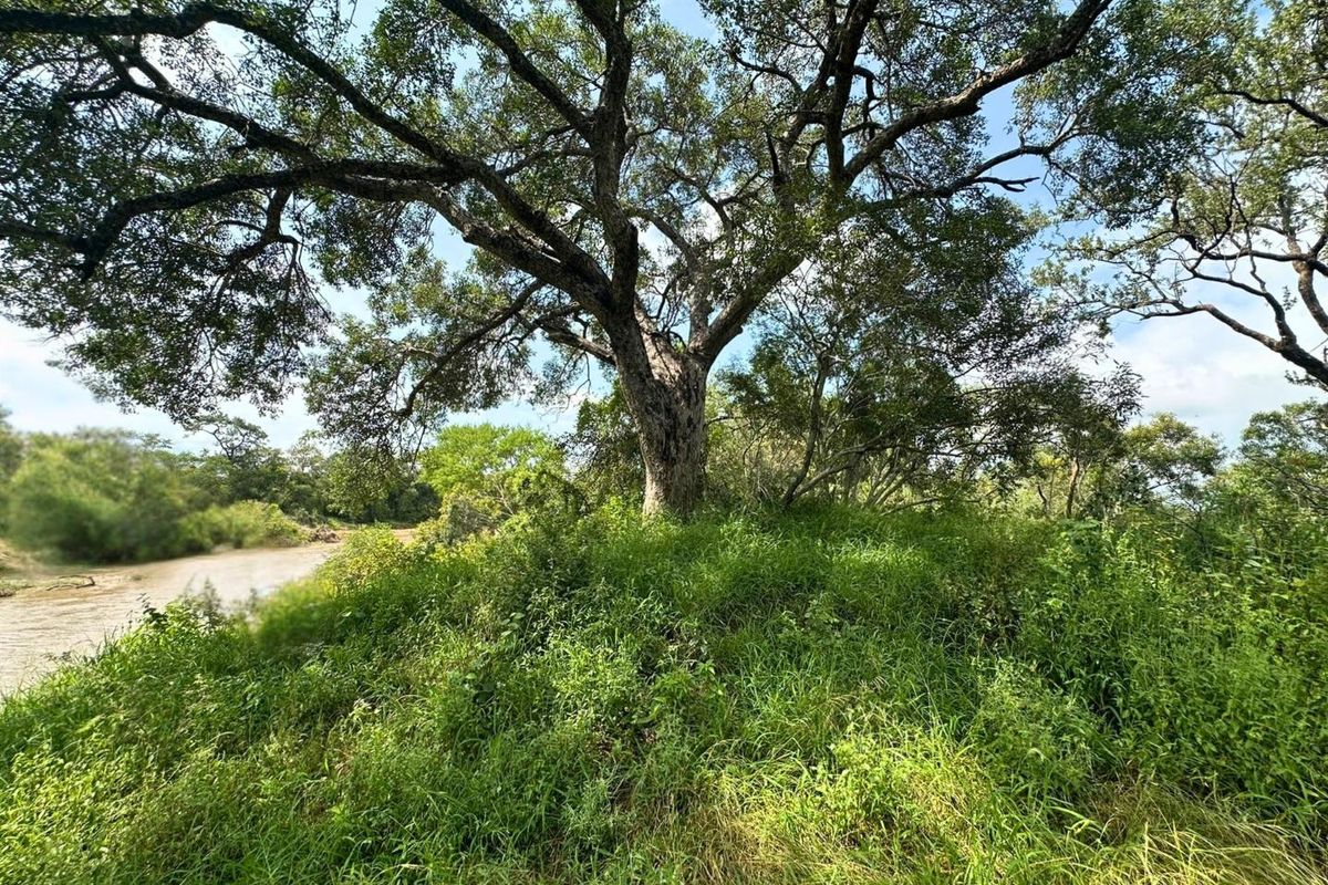 12,000 m2 Riverfront Stand in Moditlo Wildlife Estate - Photo 2