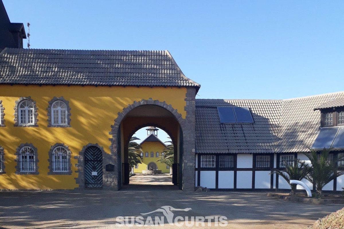 Beautiful Income Generating Farm in Municipal Area - Photo 2