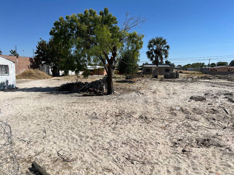 A large, undeveloped plot of land featuring sandy ground, mature trees, and partial boundary walls, offering significant potential for landscaping or future development.