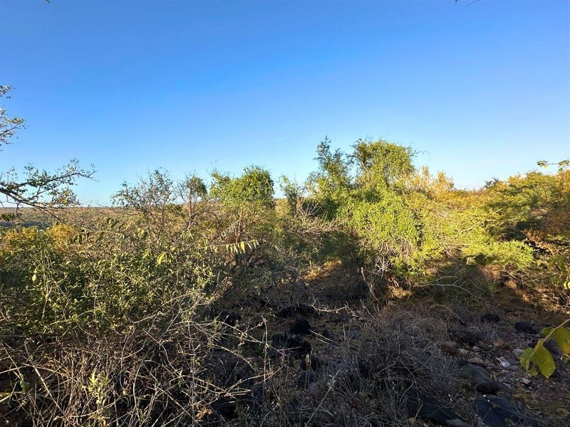 Build Your Dream Home with Mountain Views in Elephant Rock Eco Estate - Photo 10