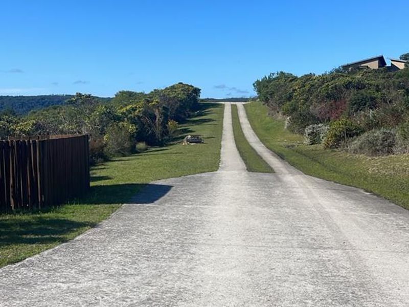 A view of a concrete driveway leading up a gentle slope, flanked by natural vegetation and a timber fence on a residential plot.