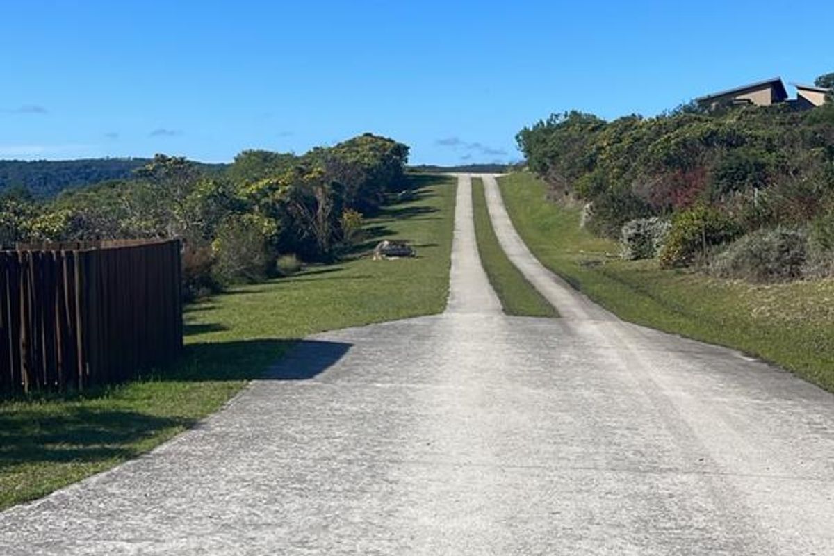 A view of a concrete driveway leading up a gentle slope, flanked by natural vegetation and a timber fence on a residential plot.