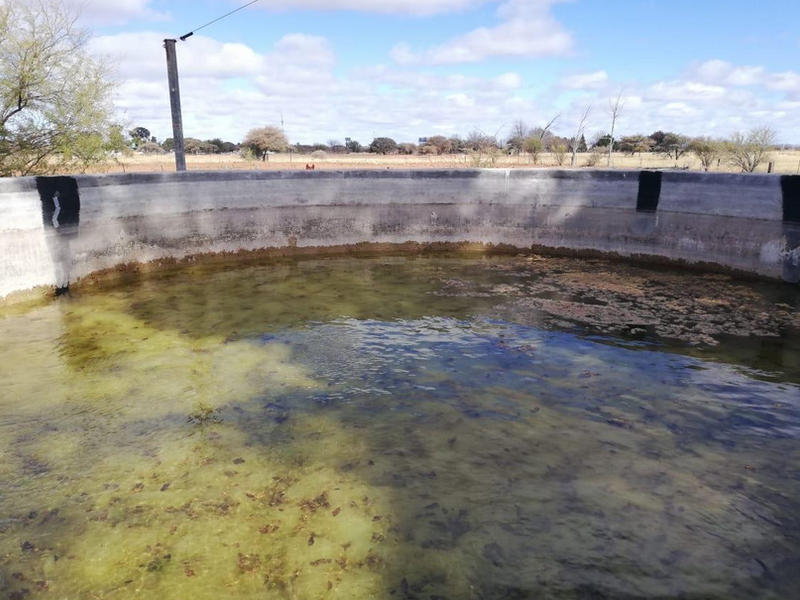 Country living at it's best - Photo 9