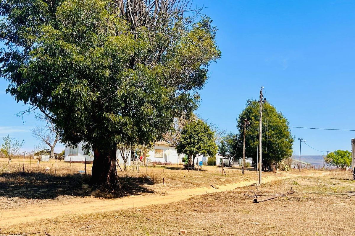 A view of the property exterior featuring a large tree, open land, and visible utility infrastructure under a clear blue sky.