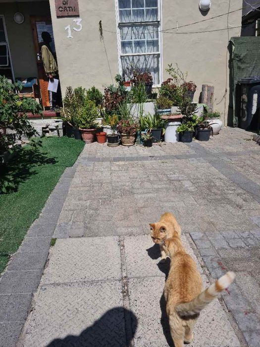 Property #2492204, House For Sale in Tafelsig