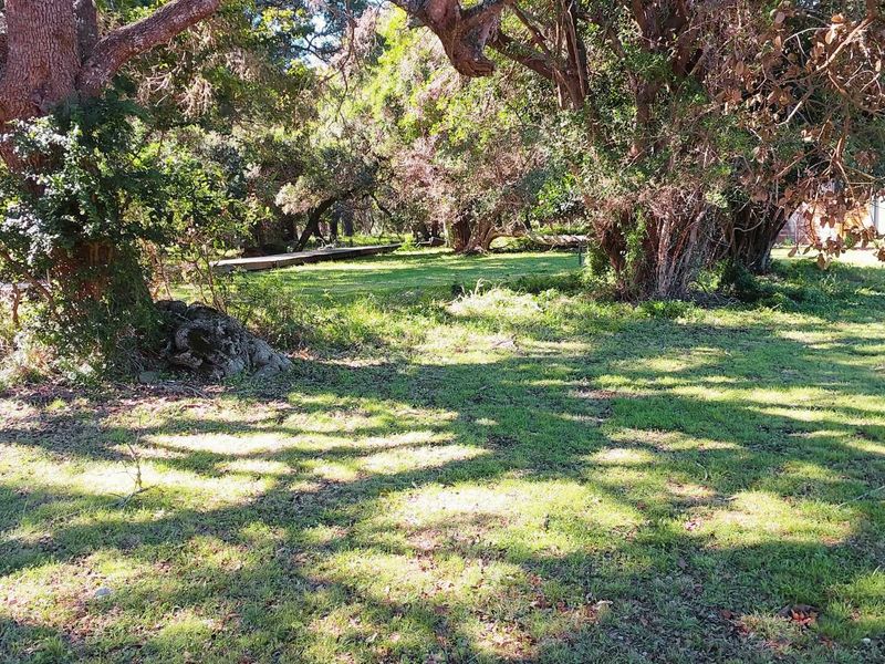 Vacant Land in Lake Brenton Eco Estate - Photo 7