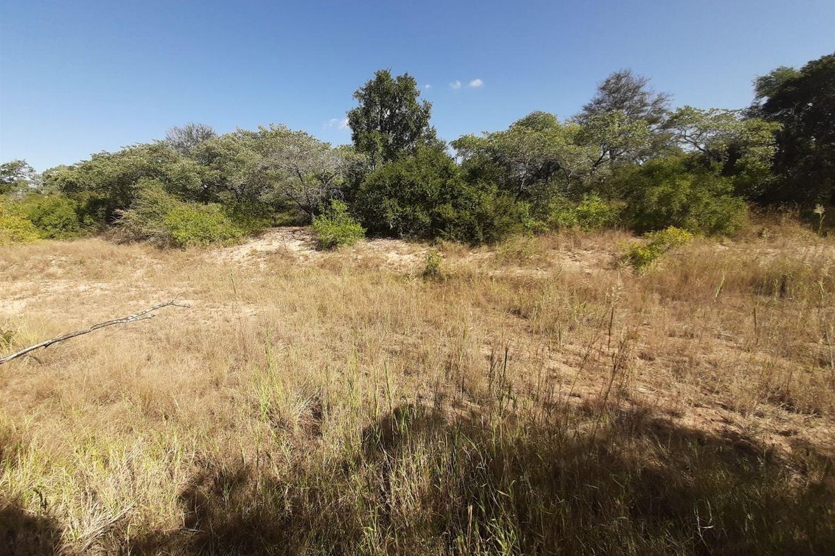 Choose your view! - Photo 2