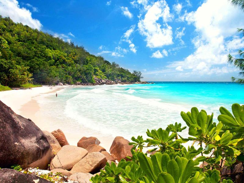 A scenic view of a pristine tropical beach with white sand, turquoise water, and lush coastal vegetation.