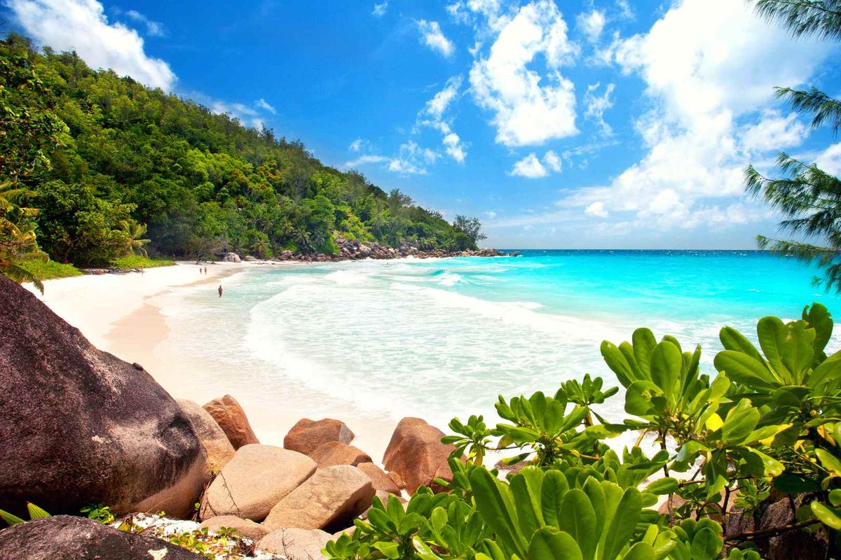 A scenic view of a pristine tropical beach with white sand, turquoise water, and lush coastal vegetation.