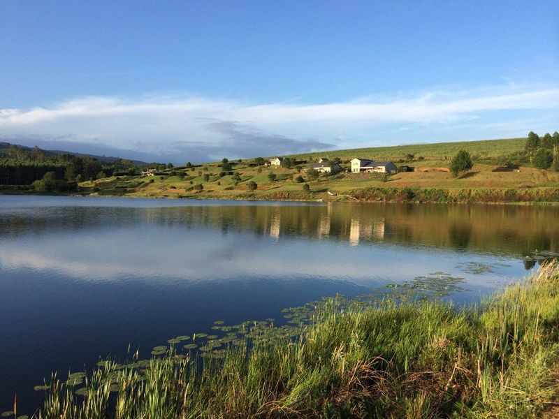 🌿 Prime Vacant Land for Sale in Forest Ridge Estate – Peatties Lakeside Resort 🌿 - Photo 4