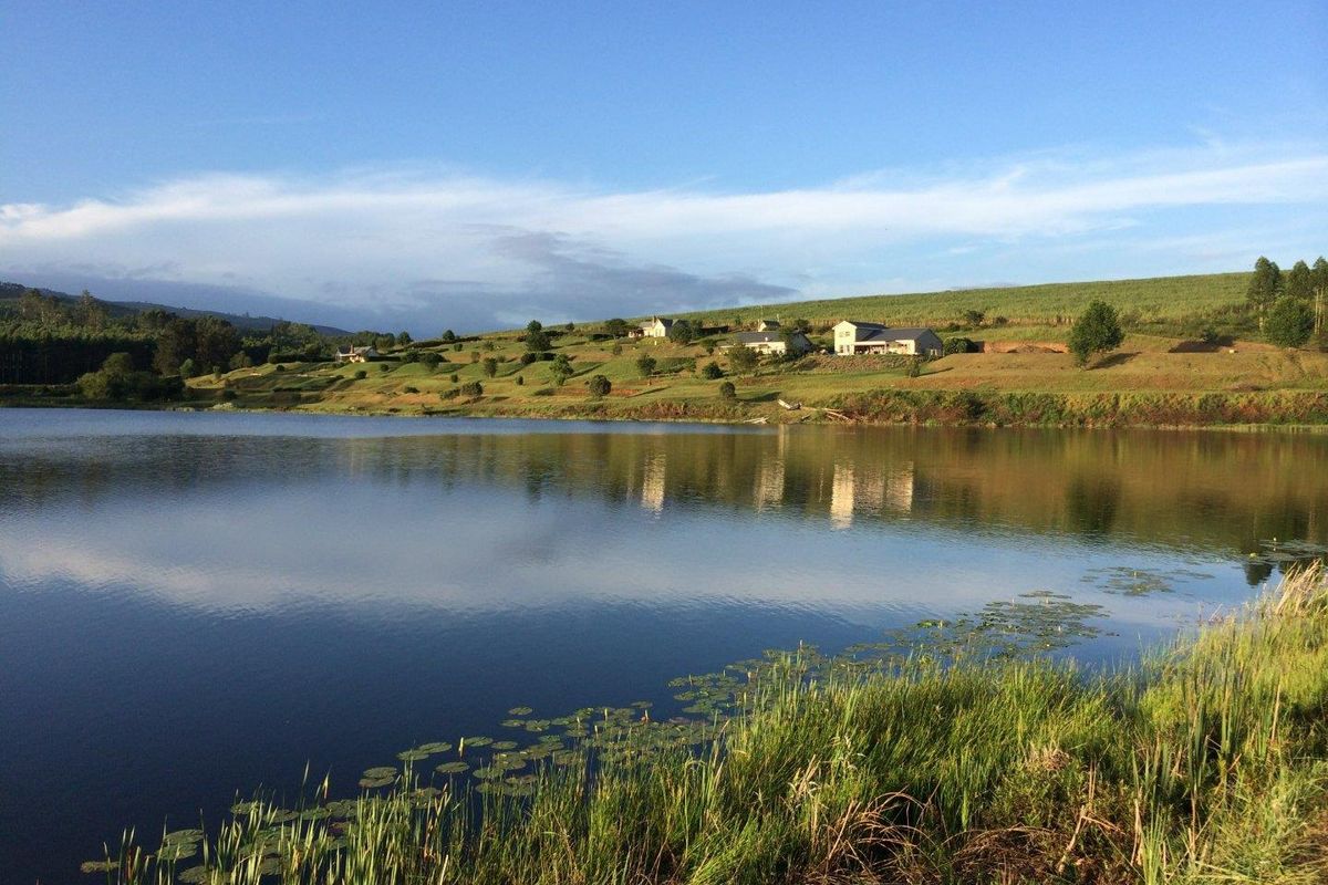 🌿 Prime Vacant Land for Sale in Forest Ridge Estate – Peatties Lakeside Resort 🌿 - Photo 4
