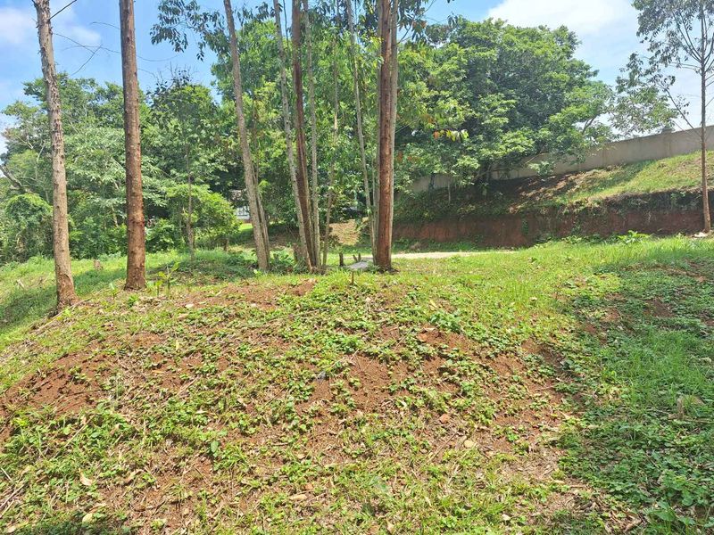 A Rare Sanctuary of Space, Security & Scenic Beauty - Photo 2