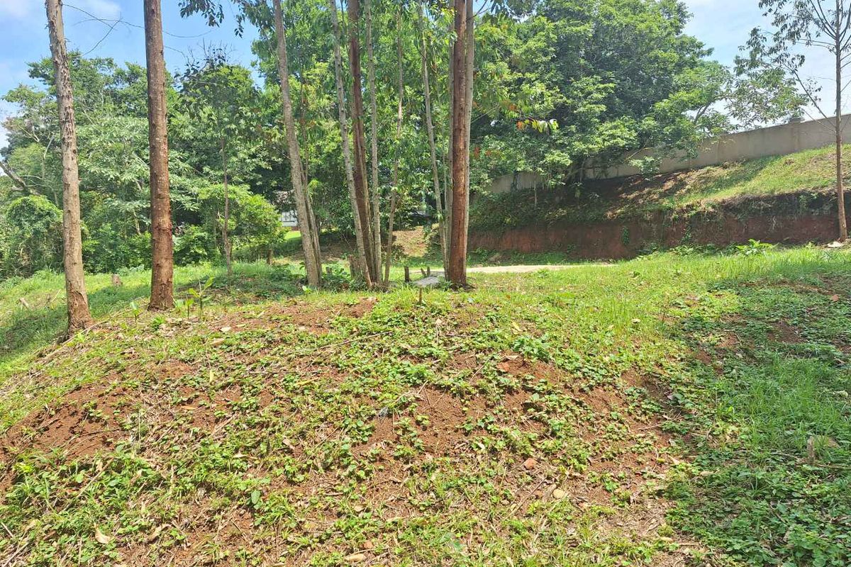 A Rare Sanctuary of Space, Security & Scenic Beauty - Photo 2