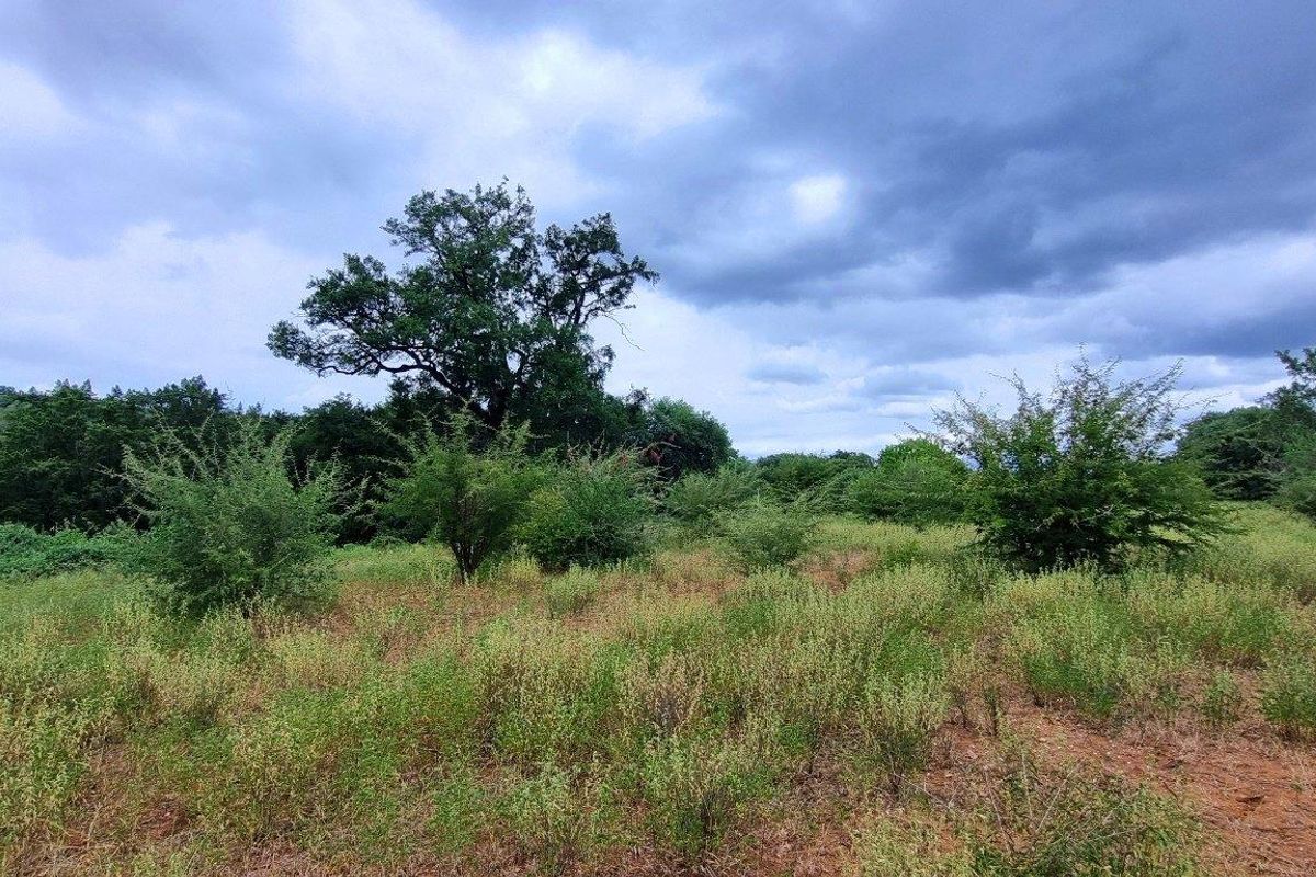 A view of the vacant residential land featuring natural vegetation and mature trees under a cloudy sky.