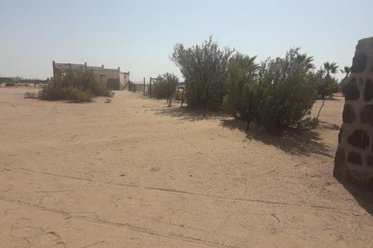 A view of a vacant agricultural plot featuring sandy terrain, sparse vegetation, and a dilapidated structure in the distance.