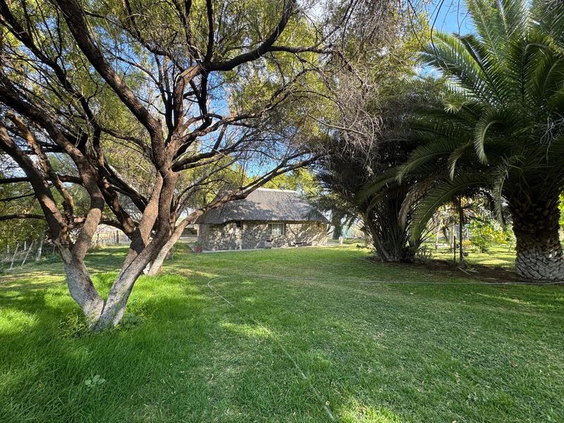 A beautiful, well-established cattle farm in the sought-after Otavi area — known for its excellent grazing and reliable rainfall. - Photo 2