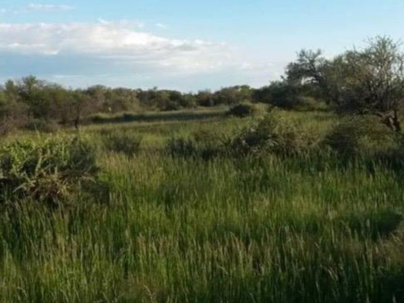 Prime Agricultural & Lifestyle Plot for Sale – Arbeidskroon (Plot 374) - Photo 10