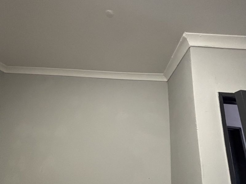 A close-up view of a corner section of a room featuring decorative coving and a door frame.