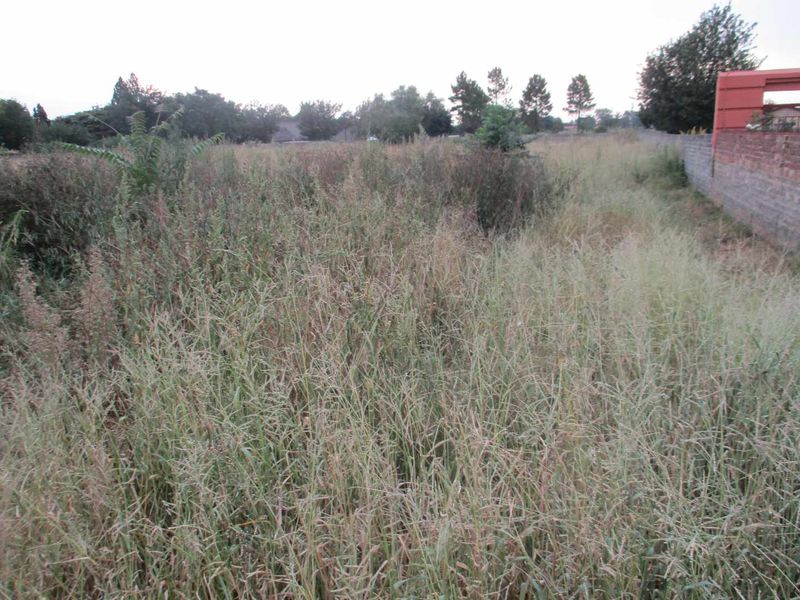 Tranquility in Henley - Photo 2