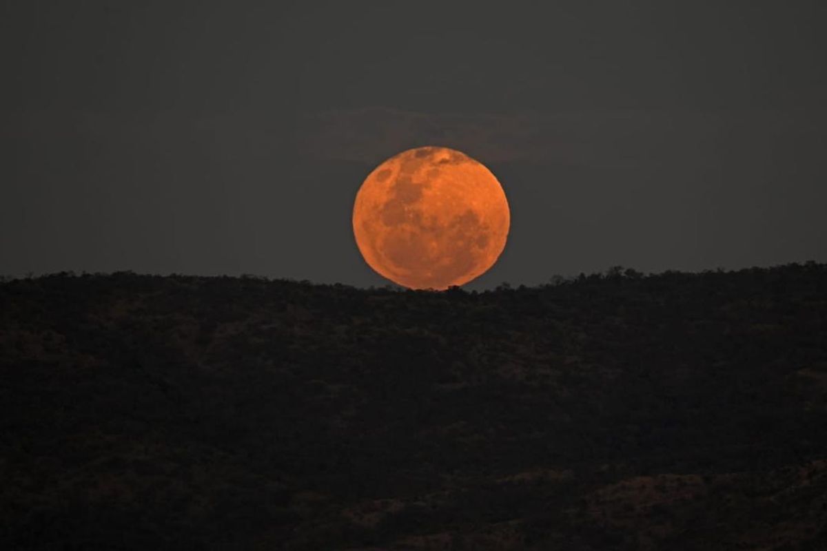 Bushveld Lifestyle Farm - Photo 5