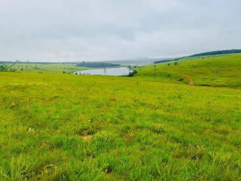 farm for sale in Vryheid area - Photo 8