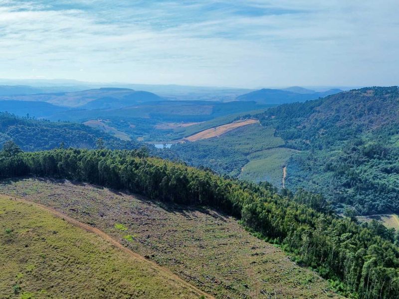33-Hectare Vacant Land with Forest and Panoramic Views in the Midlands, Howick Rural - Photo 8