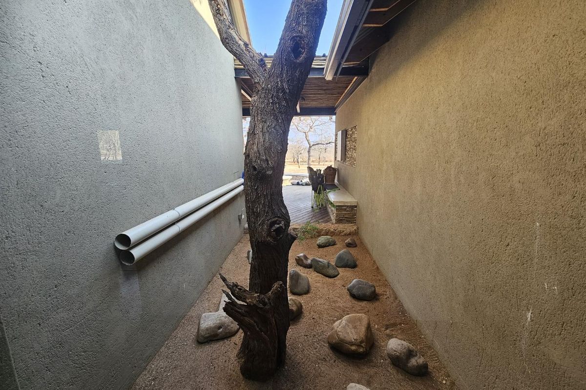 A narrow exterior side passage featuring textured plaster walls, exposed plumbing, and a landscaped area with a central tree and stone accents.
