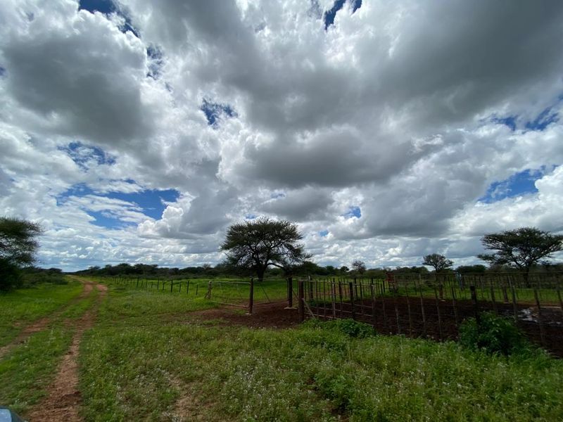 An exceptional opportunity to own a 1260 hectare game farm in the sought-after Hochfeld area – perfect for hunting, eco-tourism, or a private getaway. - Photo 5