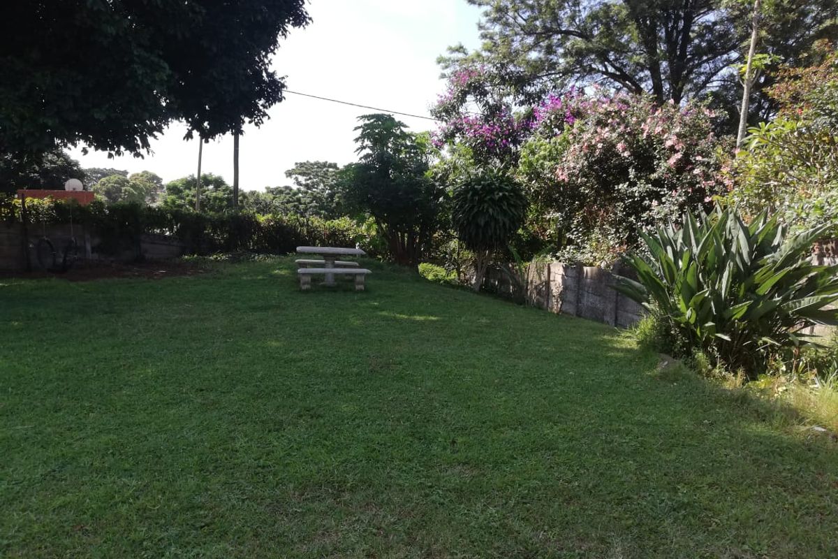 3 Bedroom Home with Extensive Level Garden - Photo 4