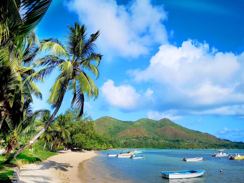 A scenic coastal view featuring a sandy beach, palm trees, and calm waters with moored boats against a backdrop of lush green mountains.