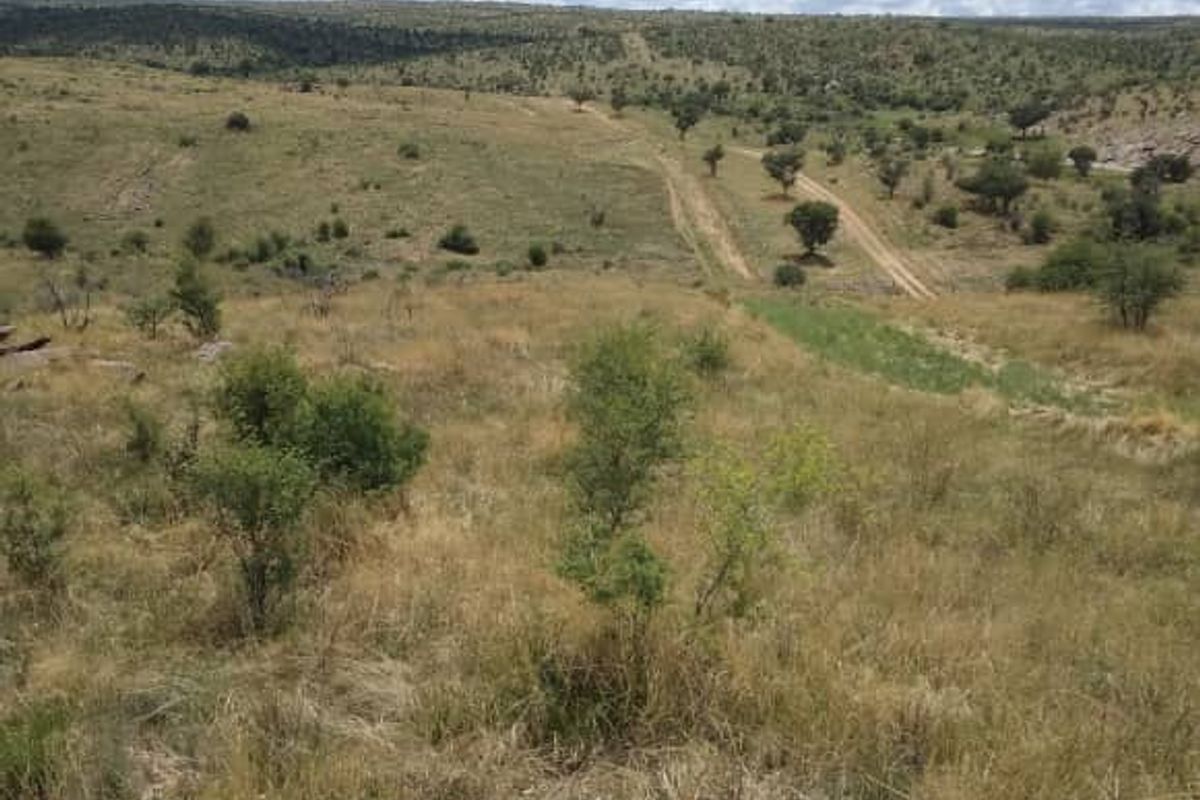 A wide-angle view of undeveloped residential land featuring natural vegetation and a dirt access track under a clear sky.