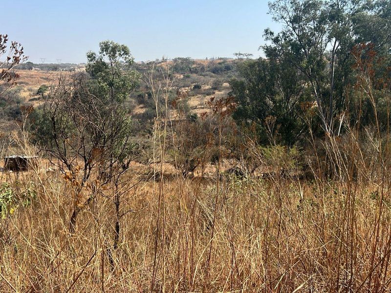 Vacant Land for Sale on Uithoek, Glencoe. - Photo 6