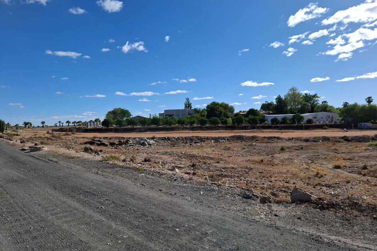 Vacant land just outside Upington with lots of potential - Photo 3