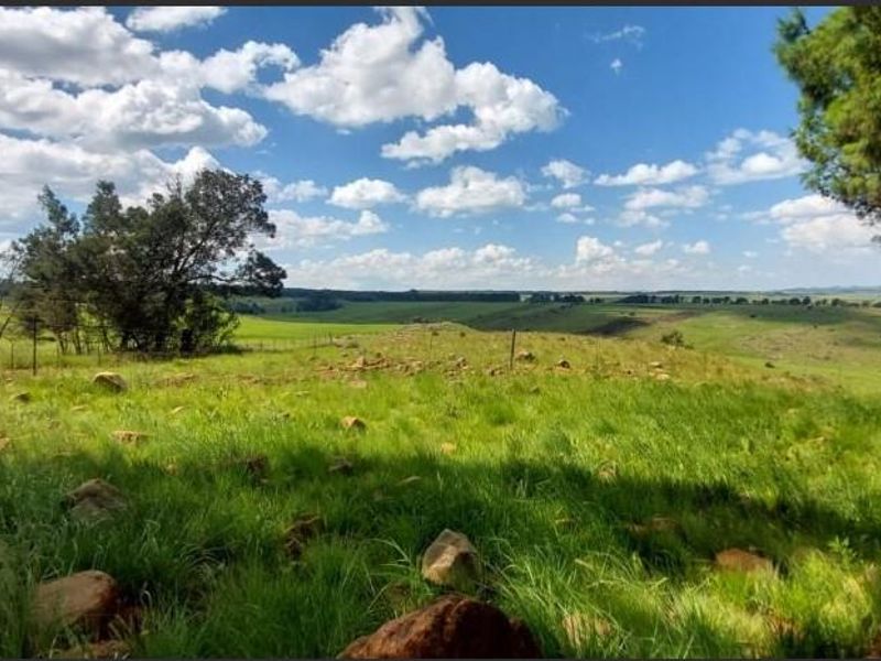 1489 Hectare of Prime Plantation and Mixed Farming for Sale in the Highlands of Belfast Mpumalanga - Photo 6