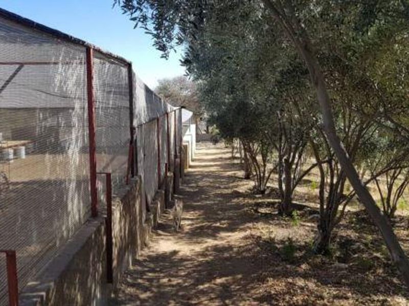 5.7HA Plot with House for Sale - Brakwater - Photo 3