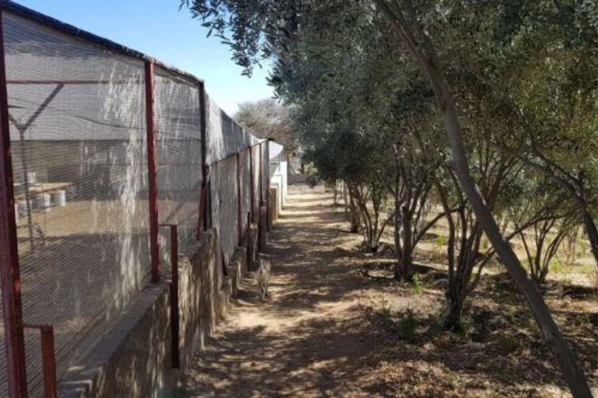 5.7HA Plot with House for Sale - Brakwater - Photo 3