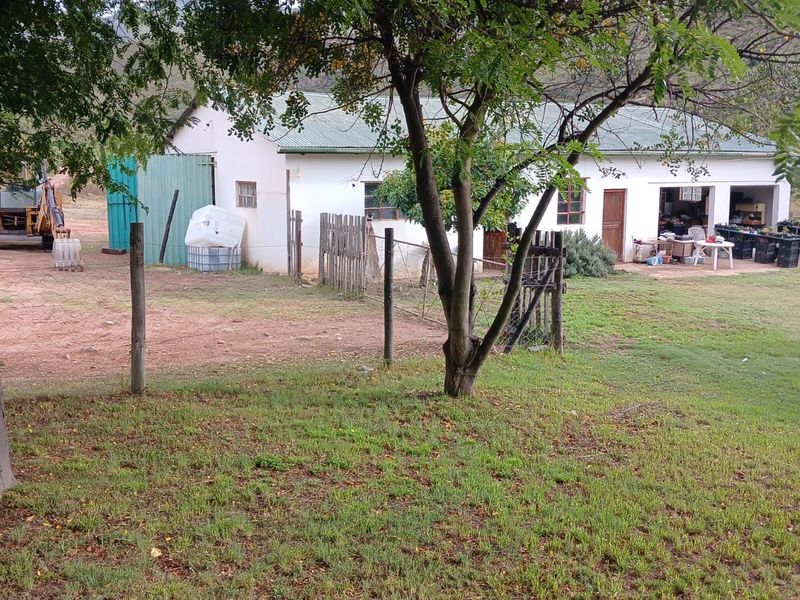 Once-in-a-Lifetime Opportunity: Own a Piece of Kouga Wilderness - Photo 4