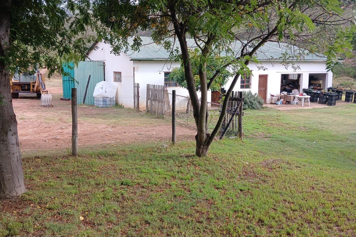 Once-in-a-Lifetime Opportunity: Own a Piece of Kouga Wilderness - Photo 4