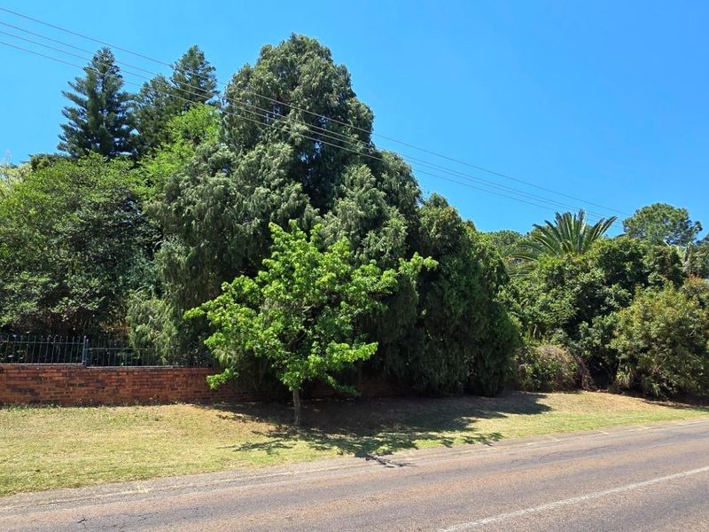 Orion's Belt - At Home Among the Stars - Photo 6