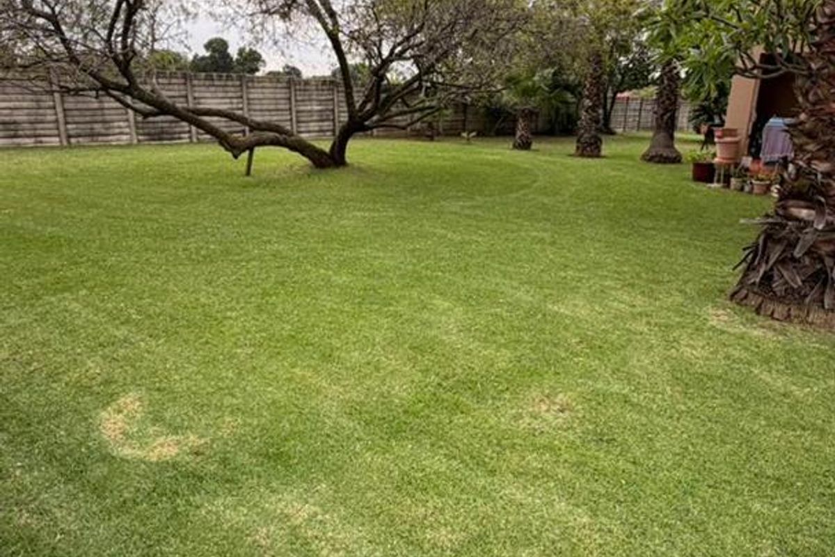 1-BEDROOM APARTMENT TO RENT - Photo 2