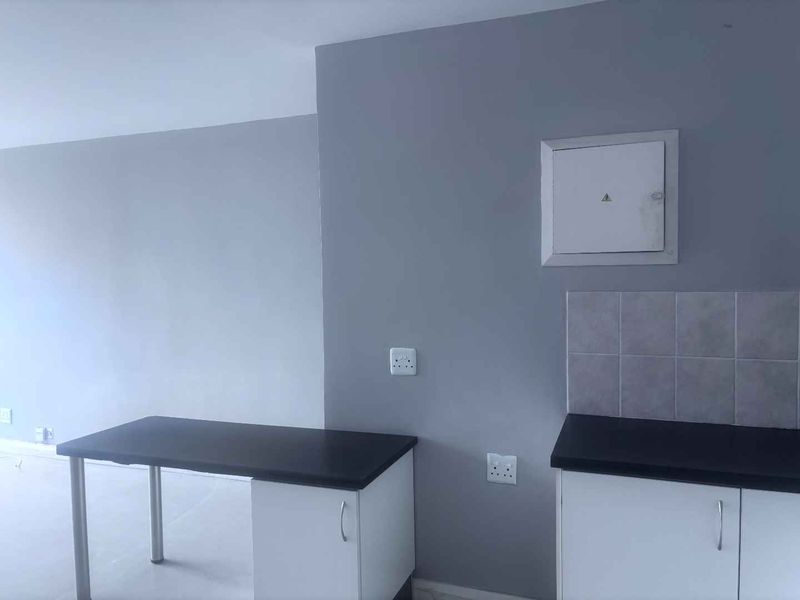 The Beaches Bachelor Apartment - Photo 5