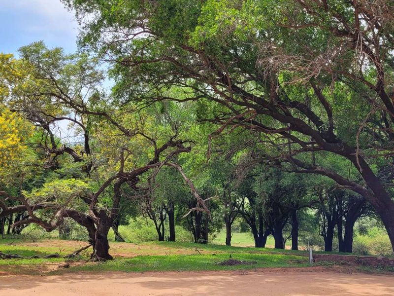 Leeupoort: Secure, Scenic, and Serene - 400m2 stand Awaits - Photo 10