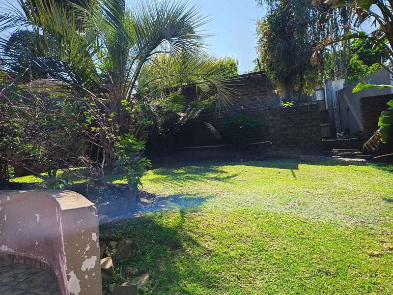 A private garden area featuring a lawn, mature palm tree, and brick boundary walls with some visible wear on the retaining wall structure.