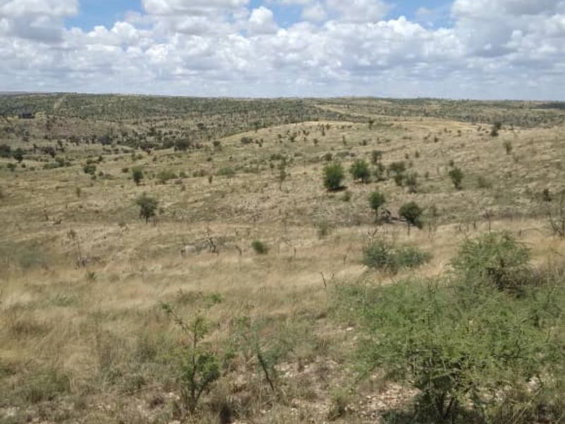 A wide-angle view of the expansive, undeveloped residential land featuring natural dry grassland and scattered native vegetation under a clear blue sky.