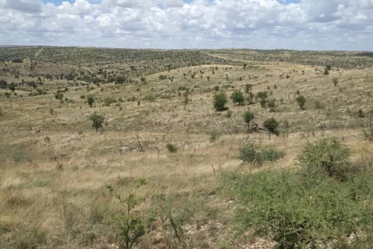 A wide-angle view of the expansive, undeveloped residential land featuring natural dry grassland and scattered native vegetation under a clear blue sky.